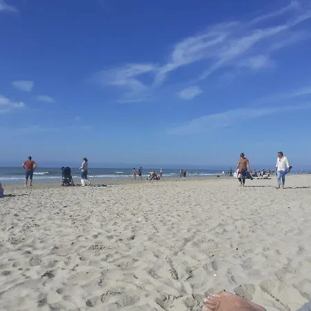 De L'ecureuil62, Pres Des Plages Et De La Foret דירה
