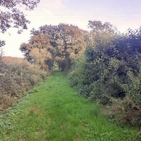 De L'ecureuil62, Pres Des Plages Et De La Foret Lejlighed *